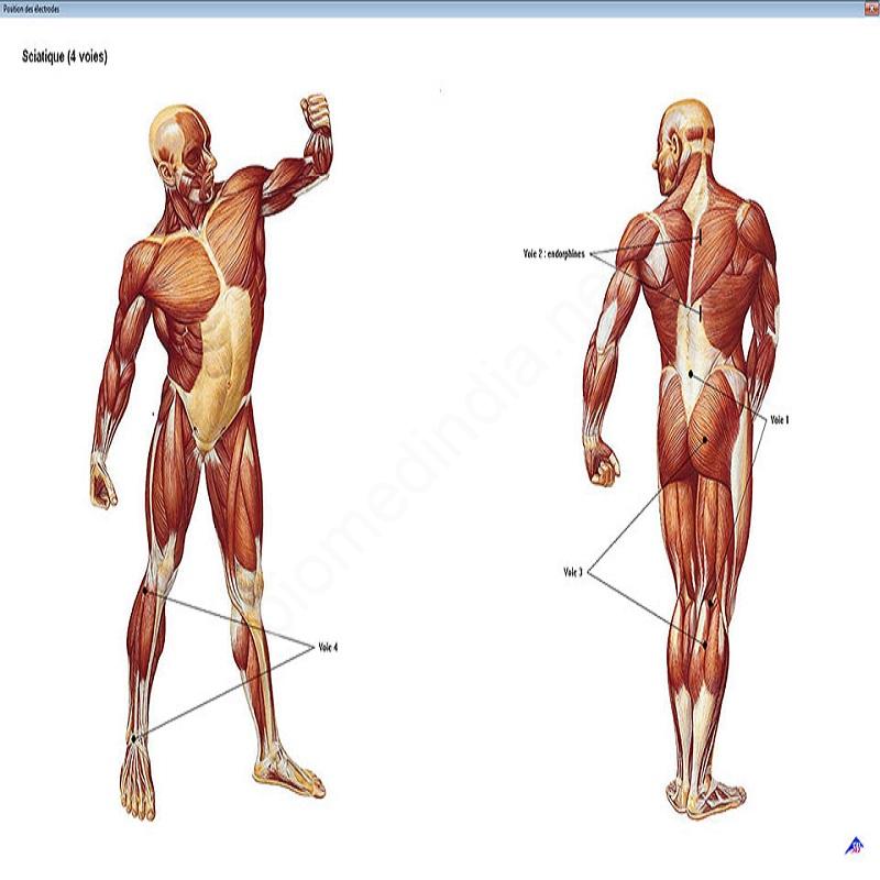 YSY-EST-EVOLUTION4_SOFTWARE